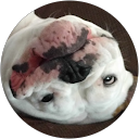 Ray Marin profile picture